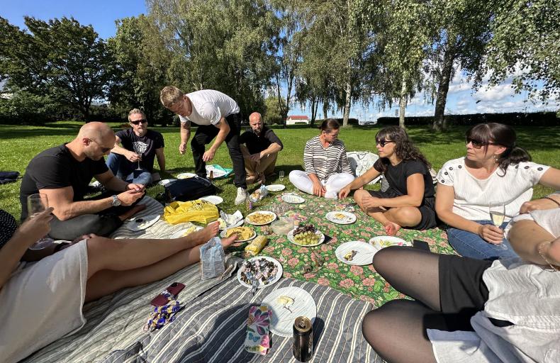 människor som har picknick på gräsmatta