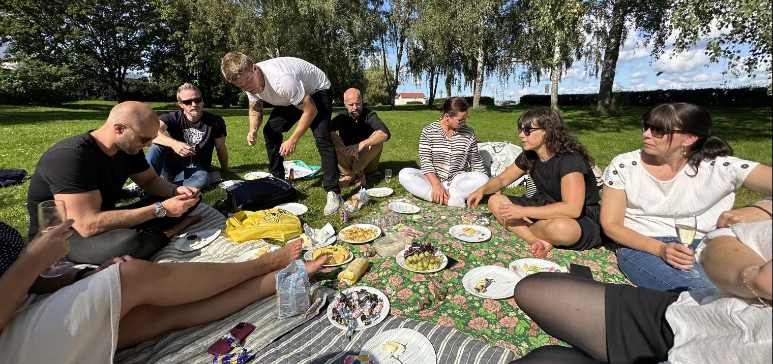 människor som har picknick på gräsmatta